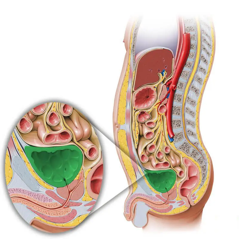 Managing overactive bladder dysfunction