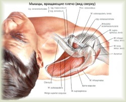 sore right shoulder and neck