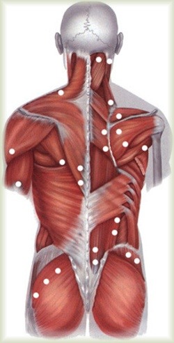 Whole body pain reason