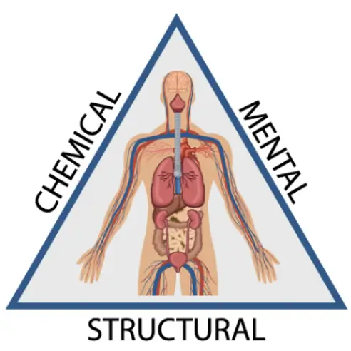 kinesiological testing