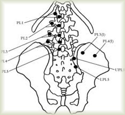 strain and counterstrain